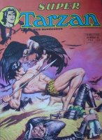Grand Scan Tarzan Super n° 25